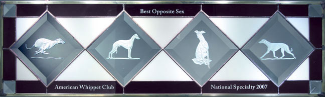 Best Opposite Sex