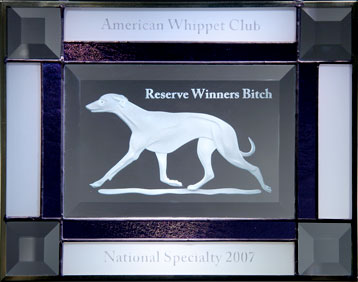 Reserve Winners Bitch